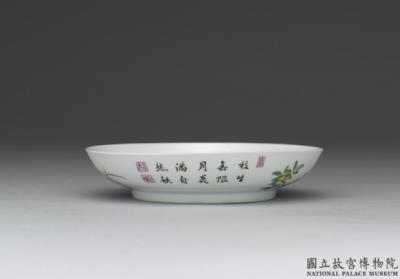 图片[2]-Dish with osmanthus and hibiscus in falangcai painted enamels, Qing dynasty, Yongzheng reign 1723-1735-China Archive